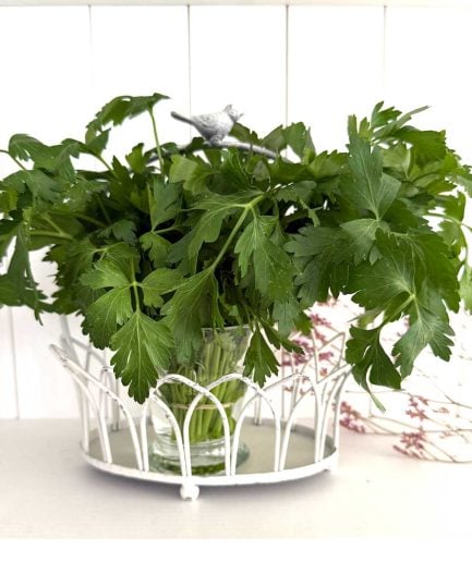 küchenDeko Korb Shabby Chic Landhausstil antik weiss soulbirdee onlineshop Deko